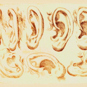 Odoardo Fialetti: Human Ears (1608). MEHAU KULYK / SCIENCE PHOTO LIBRARY / Universal Images Group Rights Managed.