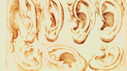 Odoardo Fialetti: Human Ears (1608). MEHAU KULYK / SCIENCE PHOTO LIBRARY / Universal Images Group Rights Managed.